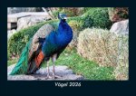 Vögel 2026 Fotokalender DIN A5