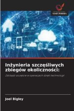 In¿ynieria szcz¿¿liwych zbiegów okoliczno¿ci: