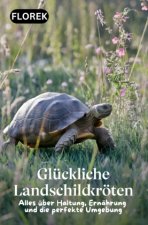Glückliche Landschildkröten