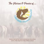 The Horses and Ponies of I AM HERD Mustang Sanctuary