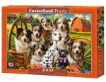 Puzzle 1000 elementów. Szczęśliwe psy na wsi