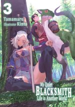 MY QUIET BLACKSMITH LIFE IN V03 [LN]