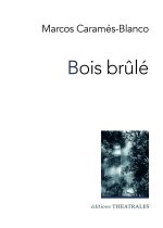 Bois brulé