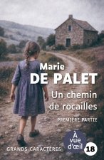 UN CHEMIN DE ROCAILLES (PARTIE 1)