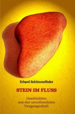 Stein im Fluss