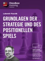 Grundlagen der Strategie und des positionellen Spiels