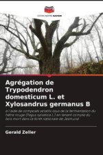 Agrégation de Trypodendron domesticum L. et Xylosandrus germanus B