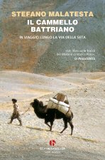 cammello battriano