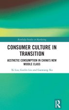Consumer Culture in Transition