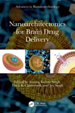 Nanoarchitectonics for Brain Drug Delivery