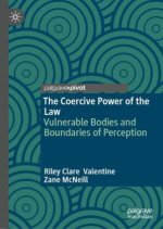Vulnerable Bodies and Boundaries of Perception