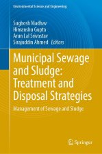 Municipal Sewage and Sludge: Treatment and Disposal Strategies