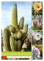 Succulents and Cacti - Strong Thorns, Delicate Blooms (Desk Calendar 2026 DIN A5 portrait), CALVENDO 12 Month DeskCalendar