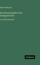 Die Kammerjungfer; Eine Stadtgeschichte
