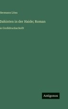 Dahinten in der Haide; Roman