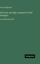 Weh dem, der lügt; Lustspiel In Fünf Aufzügen
