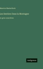 Les Sentiers Dans la Montagne