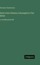Stein Unter Steinen; Schauspiel in Vier Akten