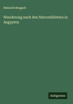 Wanderung nach den Natronklöstern in Aegypten