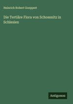 Die Tertiäre Flora von Schossnitz in Schlesien