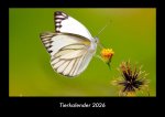 Tierkalender 2026 Fotokalender DIN A3