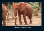 Elefanten Kalender 2026 Fotokalender DIN A4