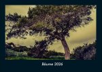 Bäume 2026 Fotokalender DIN A4