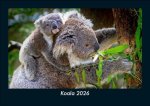 Koala 2026 Fotokalender DIN A5