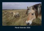 Pferde Kalender 2026 Fotokalender DIN A4