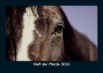 Welt der Pferde 2026 Fotokalender DIN A5