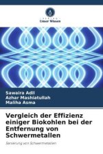 Vergleich der Effizienz einiger Biokohlen bei der Entfernung von Schwermetallen