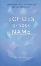 Echoes of Your Name