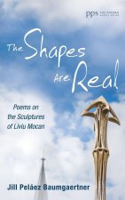 The Shapes Are Real