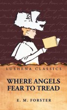 Where Angels Fear to Tread