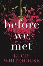 Before We Met