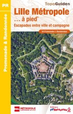Lille et ses environs à pied
