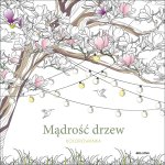 Mądrość drzew. Kolorowanka
