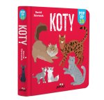 Koty. POP-UP 10