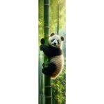 Záložka Panda AI