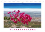 Fuerteventura (Wandkalender 2026 DIN A4 quer), CALVENDO Monatskalender