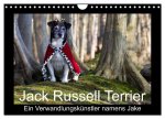 Jack Russell Terrier.....Ein Verwandlungskünstler namens Jake (Wandkalender 2026 DIN A4 quer), CALVENDO Monatskalender