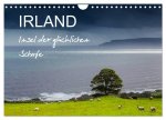 IRLAND - Insel der glücklichen Schafe (Wandkalender 2026 DIN A4 quer), CALVENDO Monatskalender