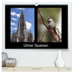 Ulmer Spatzen (hochwertiger Premium Wandkalender 2026 DIN A2 quer), Kunstdruck in Hochglanz