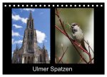 Ulmer Spatzen (Tischkalender 2026 DIN A5 quer), CALVENDO Monatskalender