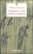 passato è una curiosa creatura