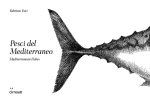 Pesci del Mediterraneo-Mediterranean fishes