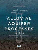 Alluvial Aquifer Processes