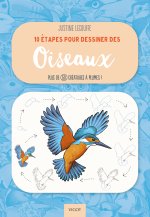 10 étapes pour dessiner les oiseaux