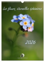 FLEURS ETERNELLES EPHEMERES CALENDRIER M