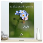 FLEURS ETERNELLES EPHEMERES CALENDRIER M